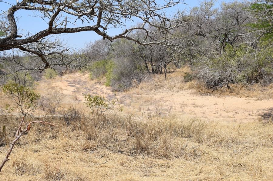 3 Bedroom Property for Sale in Moditlo Wildlife Estate Limpopo