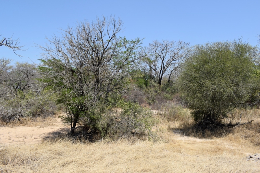 3 Bedroom Property for Sale in Moditlo Wildlife Estate Limpopo
