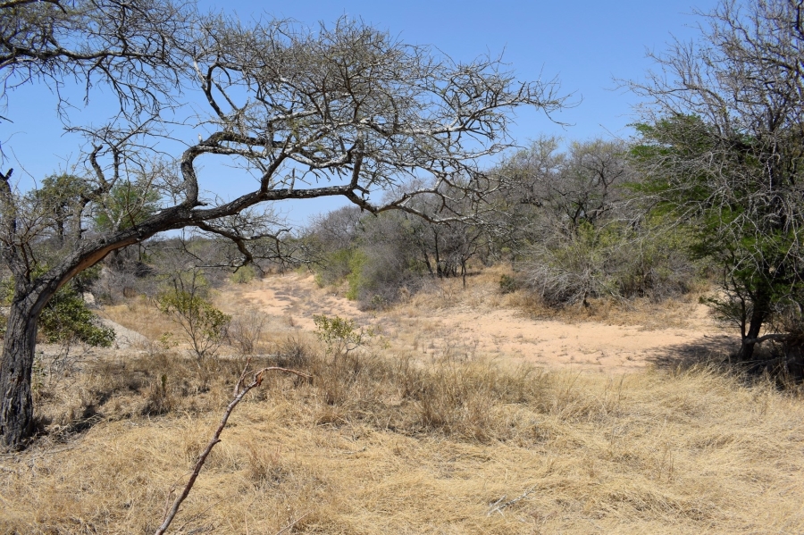 3 Bedroom Property for Sale in Moditlo Wildlife Estate Limpopo