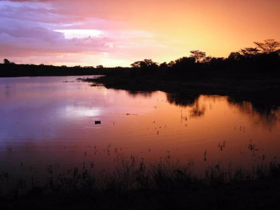 0 Bedroom Property for Sale in Modimolle Limpopo