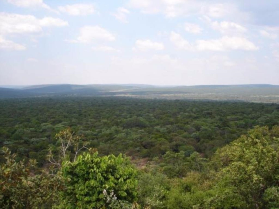 0 Bedroom Property for Sale in Modimolle Limpopo