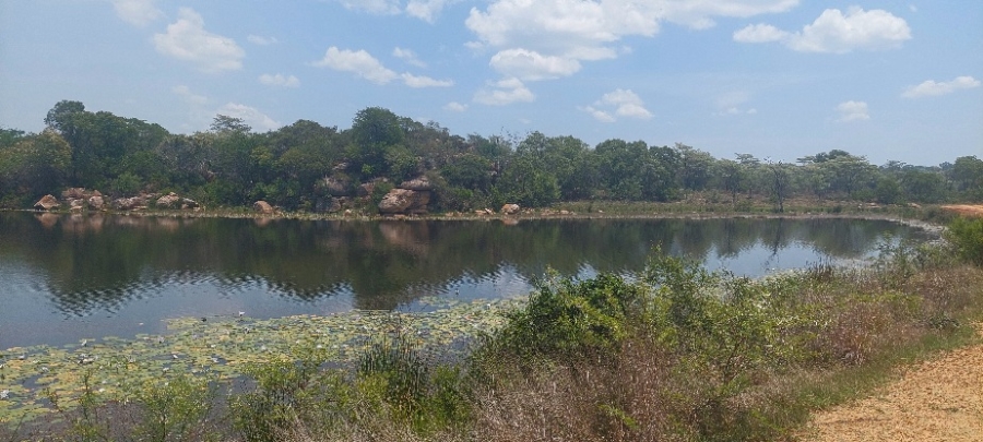 0 Bedroom Property for Sale in Modimolle Limpopo