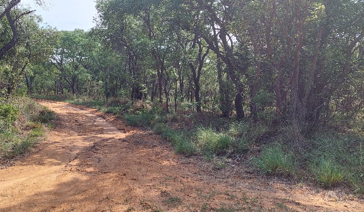 0 Bedroom Property for Sale in Modimolle Limpopo