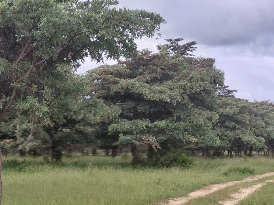 0 Bedroom Property for Sale in Modimolle Limpopo