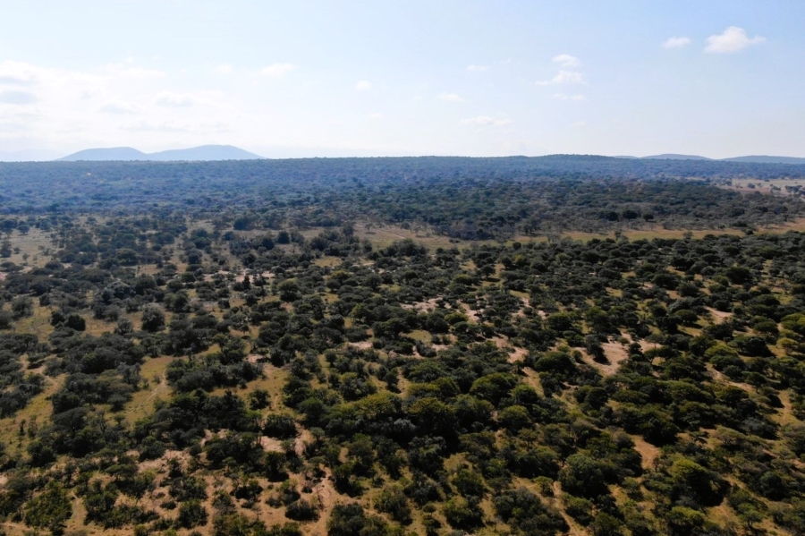 8 Bedroom Property for Sale in Bela Bela Limpopo