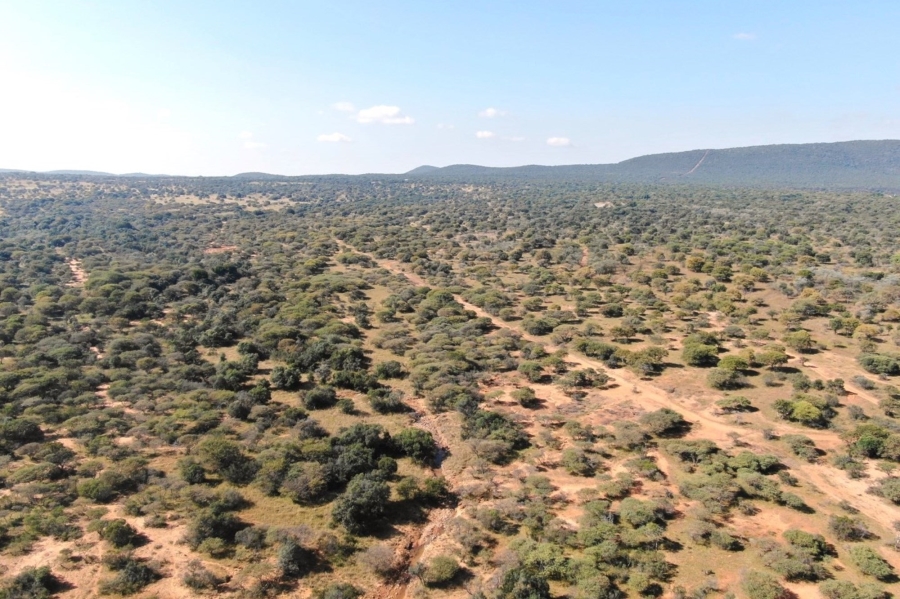 8 Bedroom Property for Sale in Bela Bela Limpopo