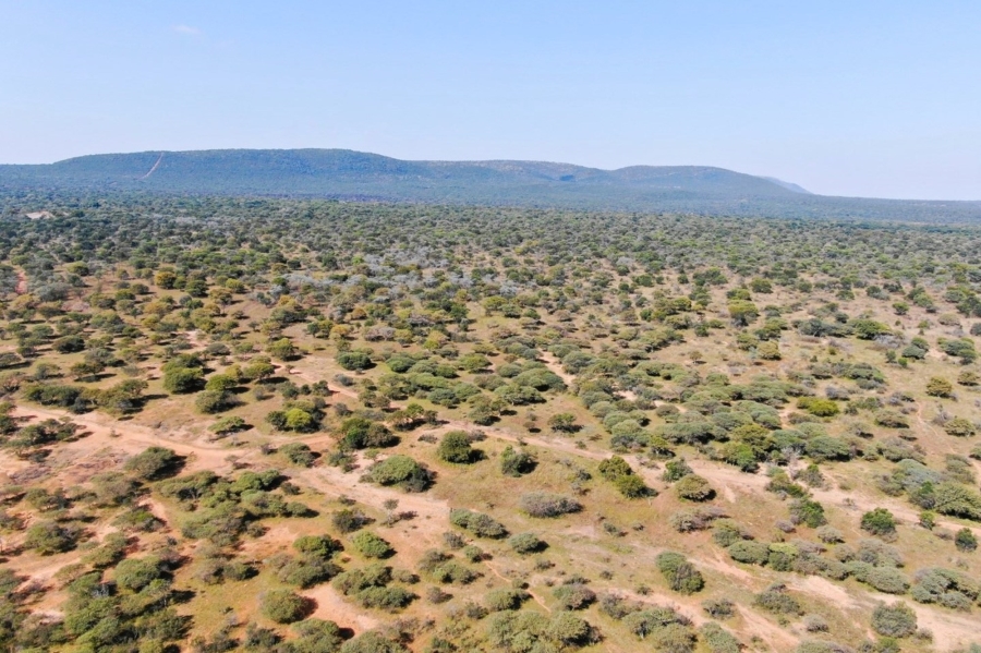 8 Bedroom Property for Sale in Bela Bela Limpopo