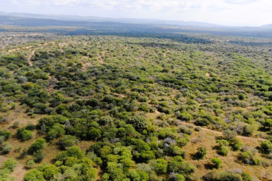 8 Bedroom Property for Sale in Bela Bela Limpopo