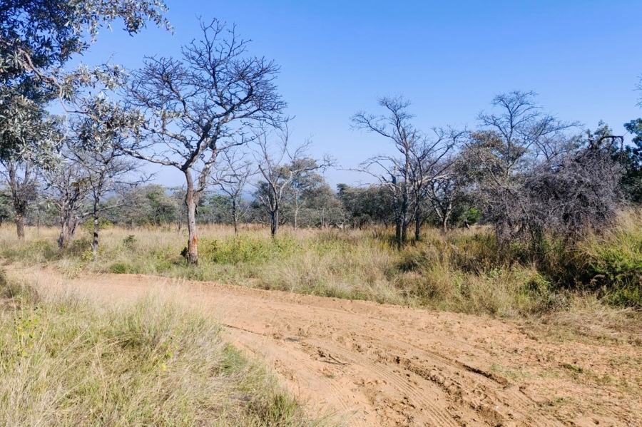 8 Bedroom Property for Sale in Bela Bela Limpopo
