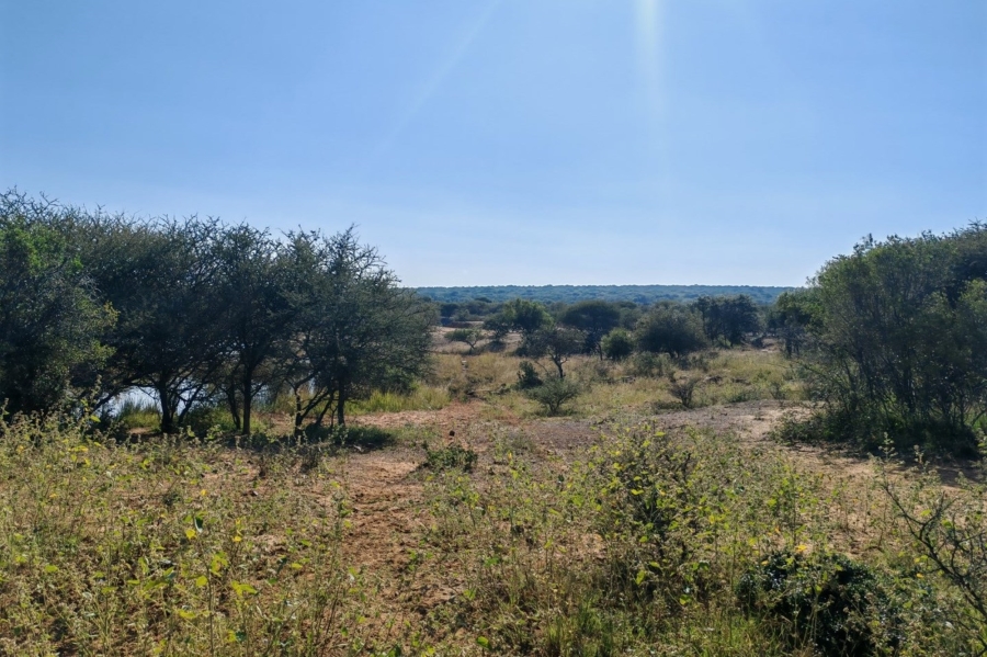 8 Bedroom Property for Sale in Bela Bela Limpopo