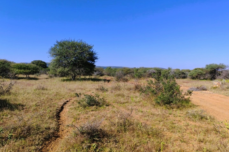 8 Bedroom Property for Sale in Bela Bela Limpopo