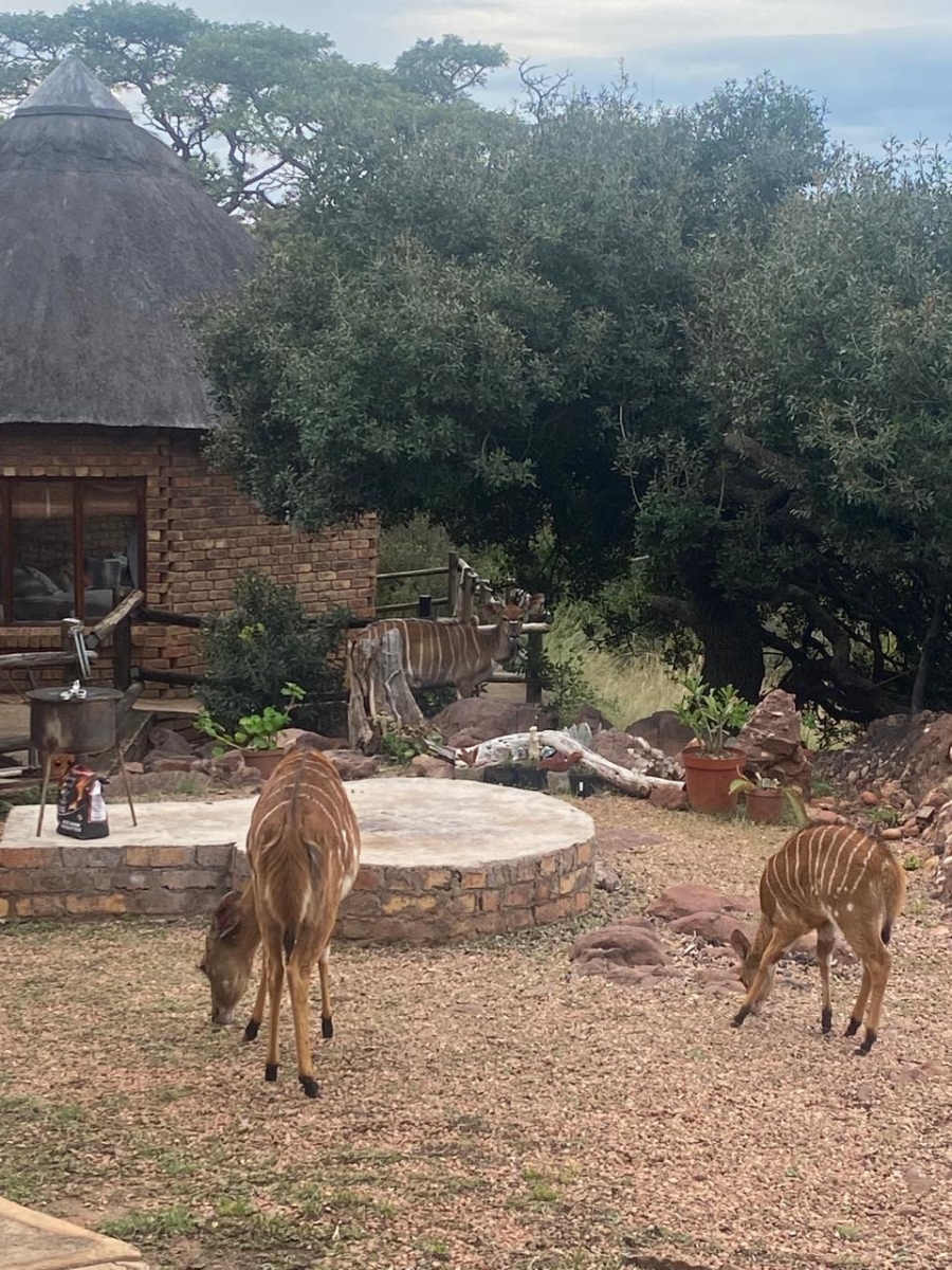 3 Bedroom Property for Sale in Bela Bela Limpopo