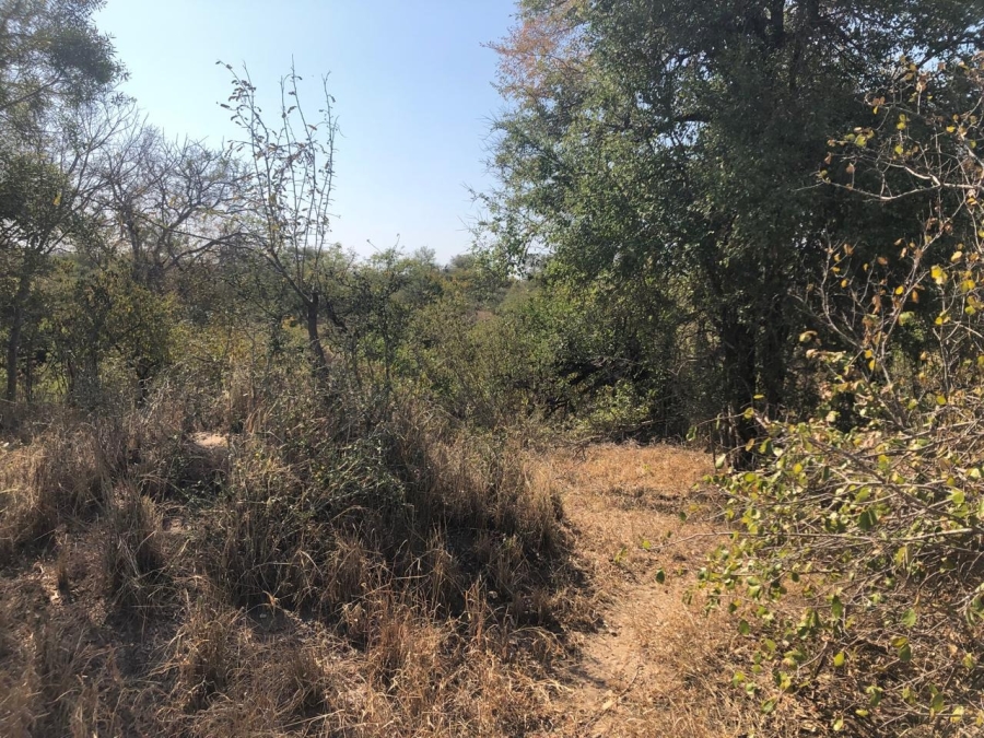 0 Bedroom Property for Sale in Moditlo Wildlife Estate Limpopo