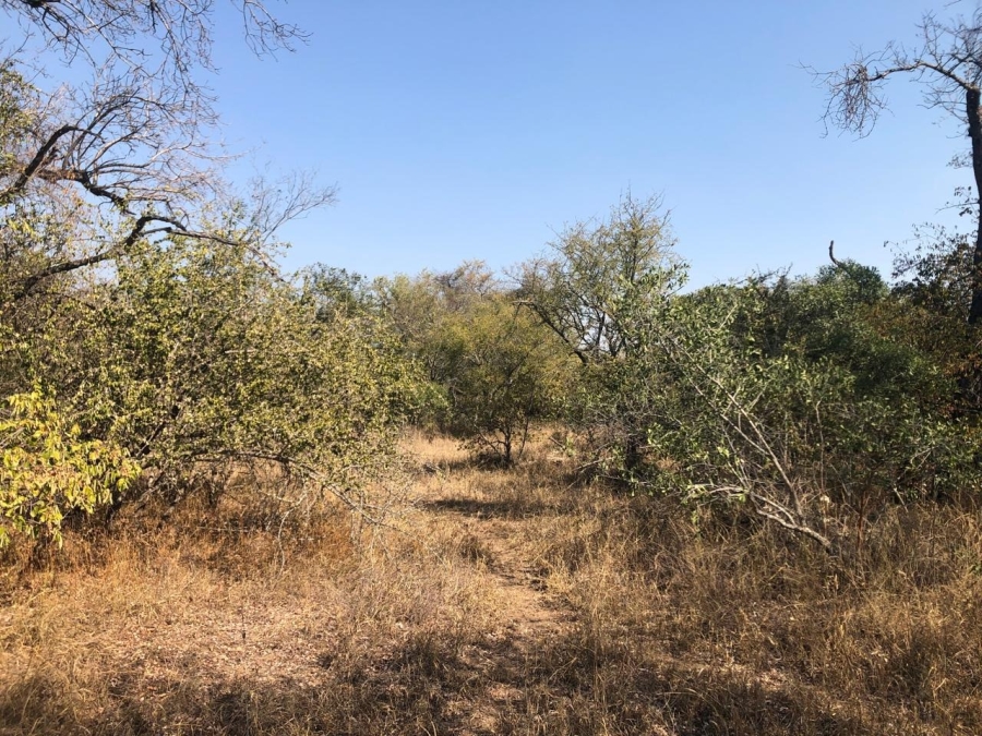 0 Bedroom Property for Sale in Moditlo Wildlife Estate Limpopo