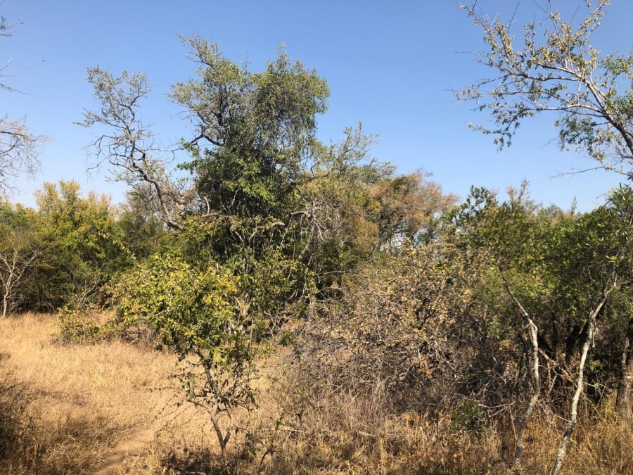 0 Bedroom Property for Sale in Moditlo Wildlife Estate Limpopo