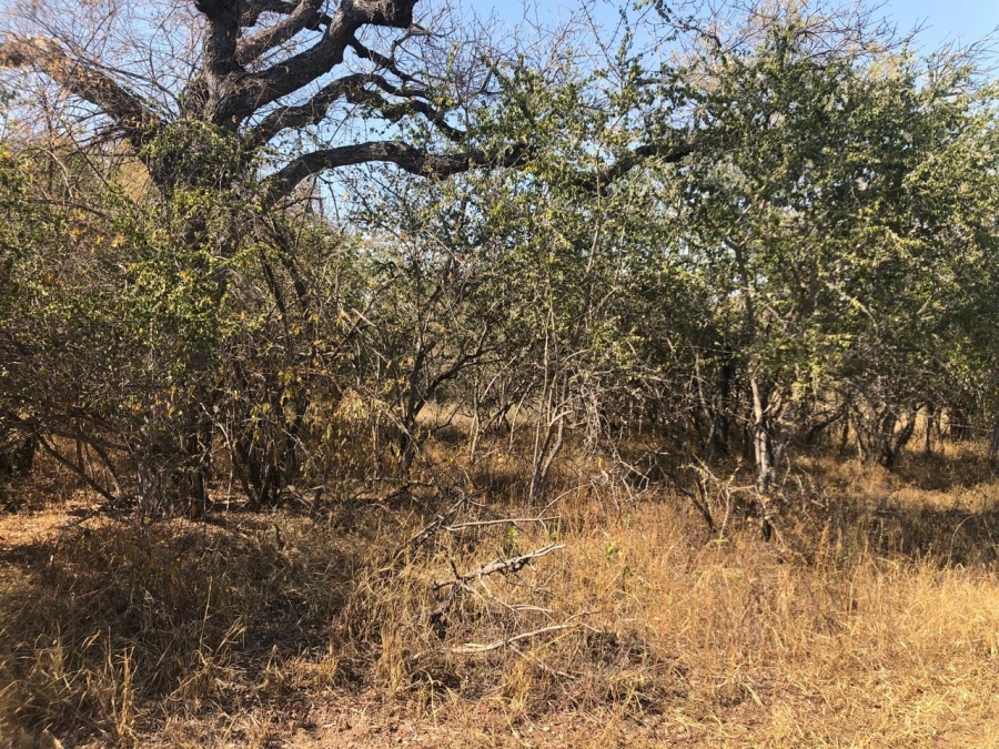 0 Bedroom Property for Sale in Moditlo Wildlife Estate Limpopo