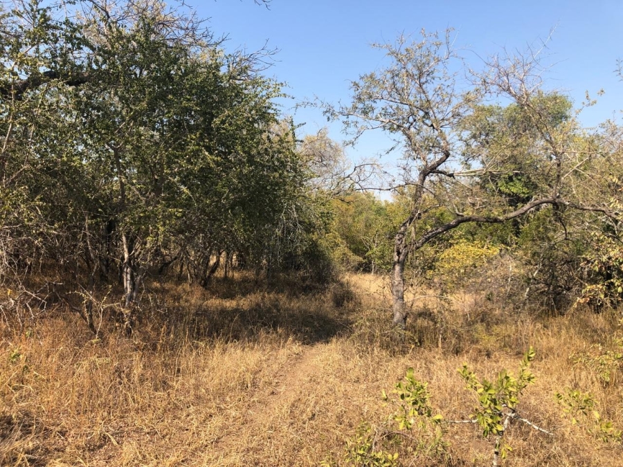 0 Bedroom Property for Sale in Moditlo Wildlife Estate Limpopo
