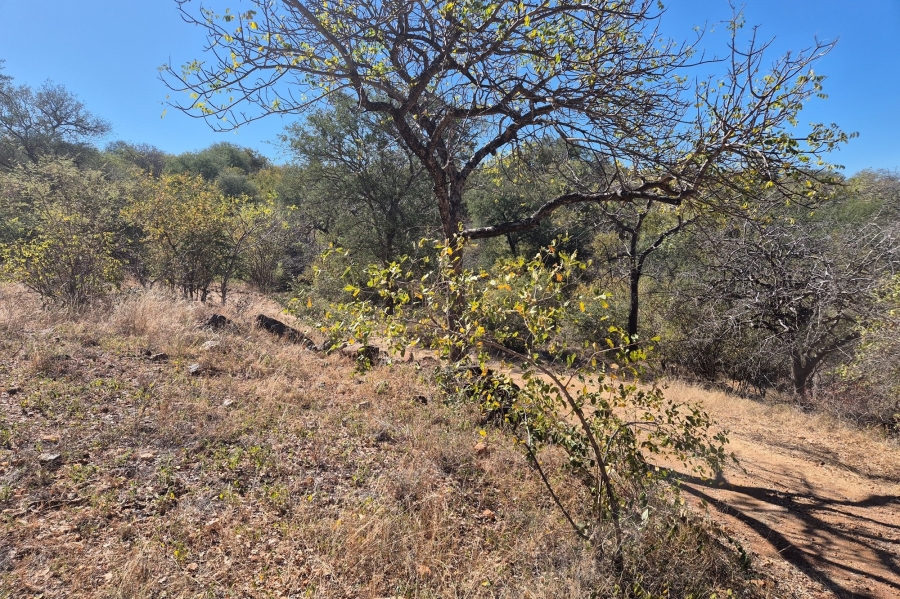 0 Bedroom Property for Sale in Elephant Rock Eco Estate Limpopo