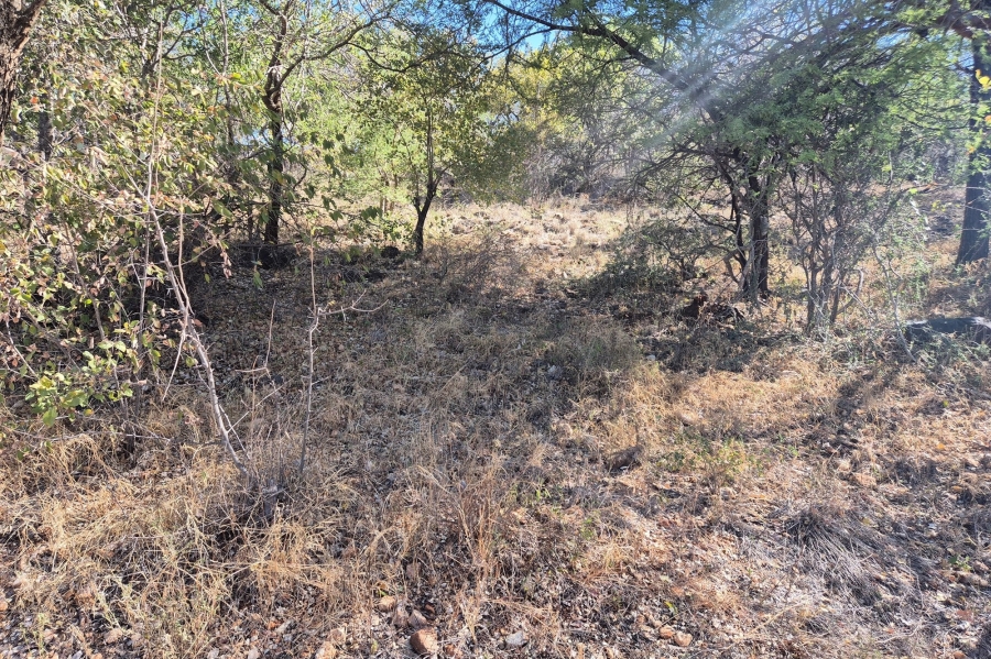 0 Bedroom Property for Sale in Elephant Rock Eco Estate Limpopo