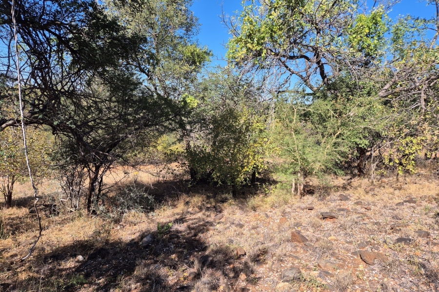 0 Bedroom Property for Sale in Elephant Rock Eco Estate Limpopo