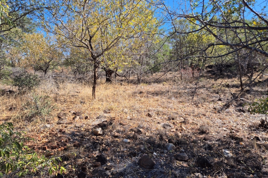0 Bedroom Property for Sale in Elephant Rock Eco Estate Limpopo