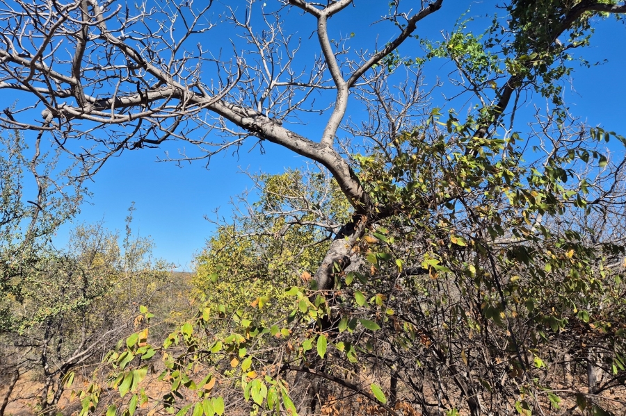 0 Bedroom Property for Sale in Elephant Rock Eco Estate Limpopo