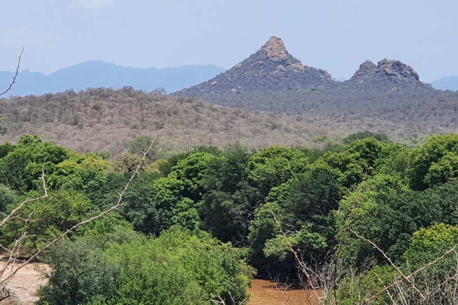 0 Bedroom Property for Sale in Elephant Rock Eco Estate Limpopo