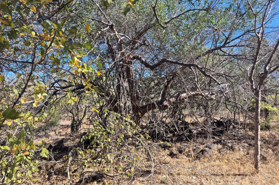 0 Bedroom Property for Sale in Elephant Rock Eco Estate Limpopo