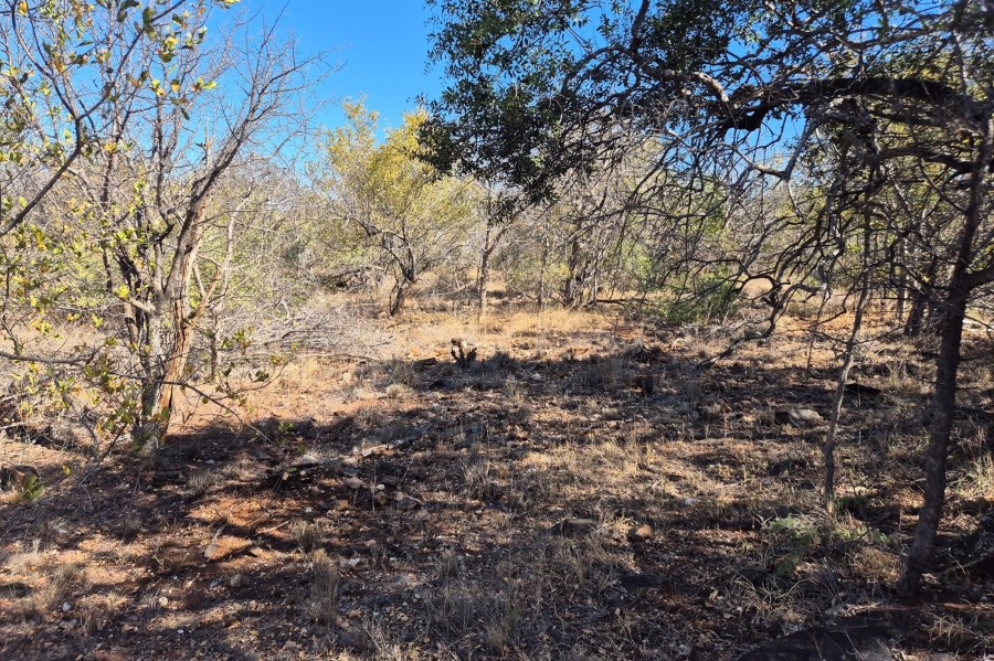0 Bedroom Property for Sale in Elephant Rock Eco Estate Limpopo