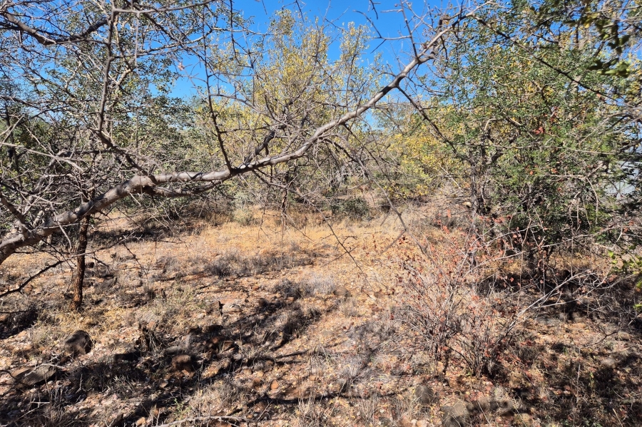 0 Bedroom Property for Sale in Elephant Rock Eco Estate Limpopo