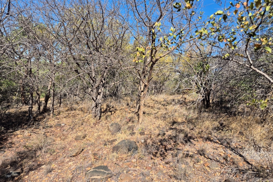 0 Bedroom Property for Sale in Elephant Rock Eco Estate Limpopo