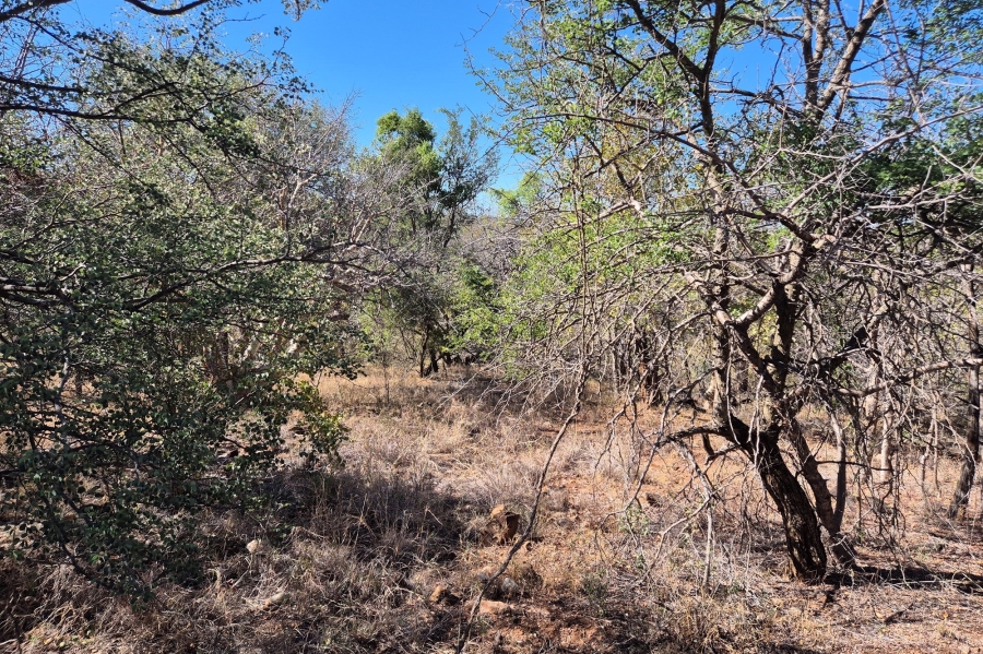 0 Bedroom Property for Sale in Elephant Rock Eco Estate Limpopo