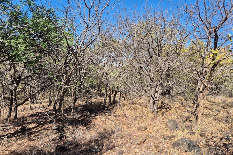 0 Bedroom Property for Sale in Elephant Rock Eco Estate Limpopo