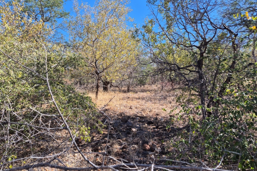 0 Bedroom Property for Sale in Elephant Rock Eco Estate Limpopo