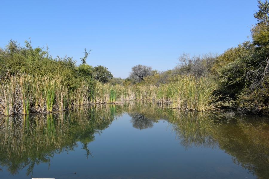 4 Bedroom Property for Sale in Blyde Wildlife Estate Limpopo