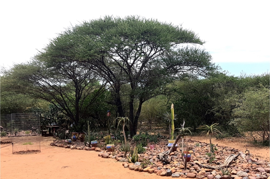 4 Bedroom Property for Sale in Blyde Wildlife Estate Limpopo