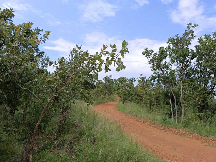0 Bedroom Property for Sale in Bela Bela Limpopo