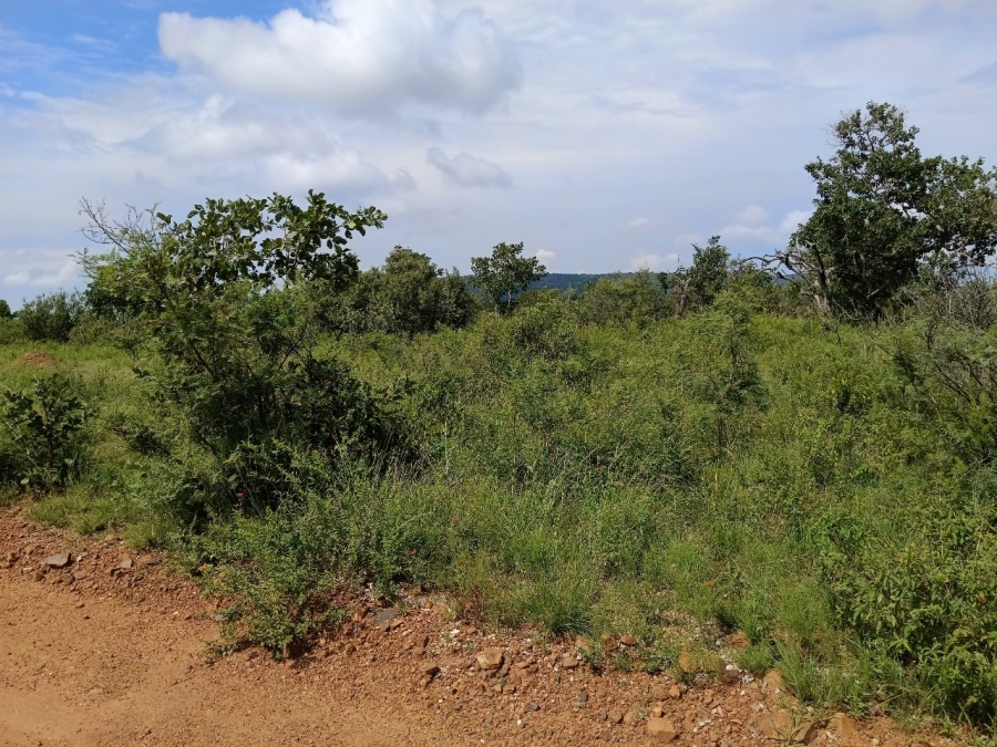 0 Bedroom Property for Sale in Bela Bela Limpopo
