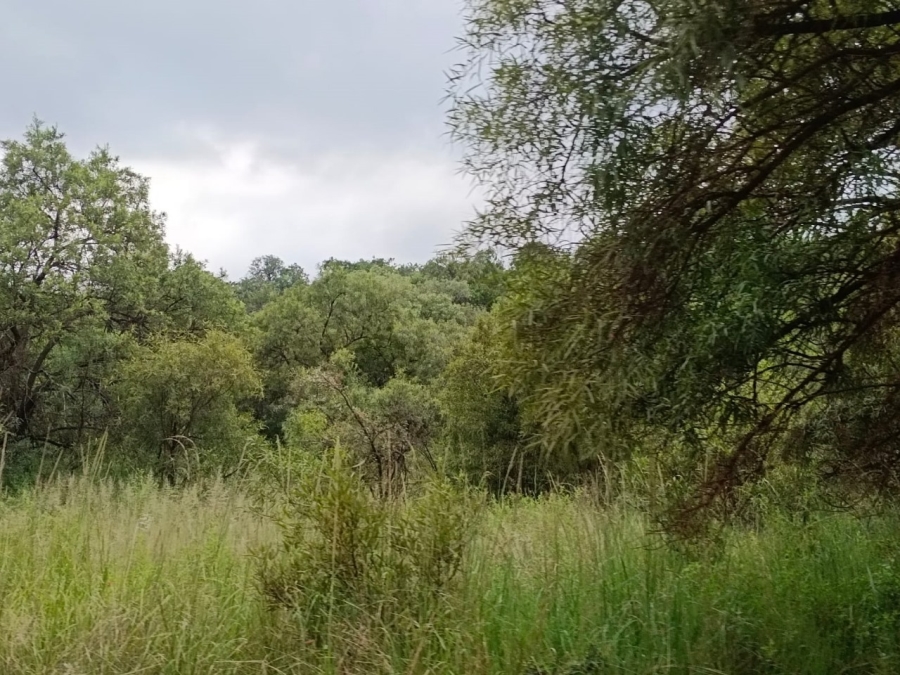 0 Bedroom Property for Sale in Bela Bela Limpopo