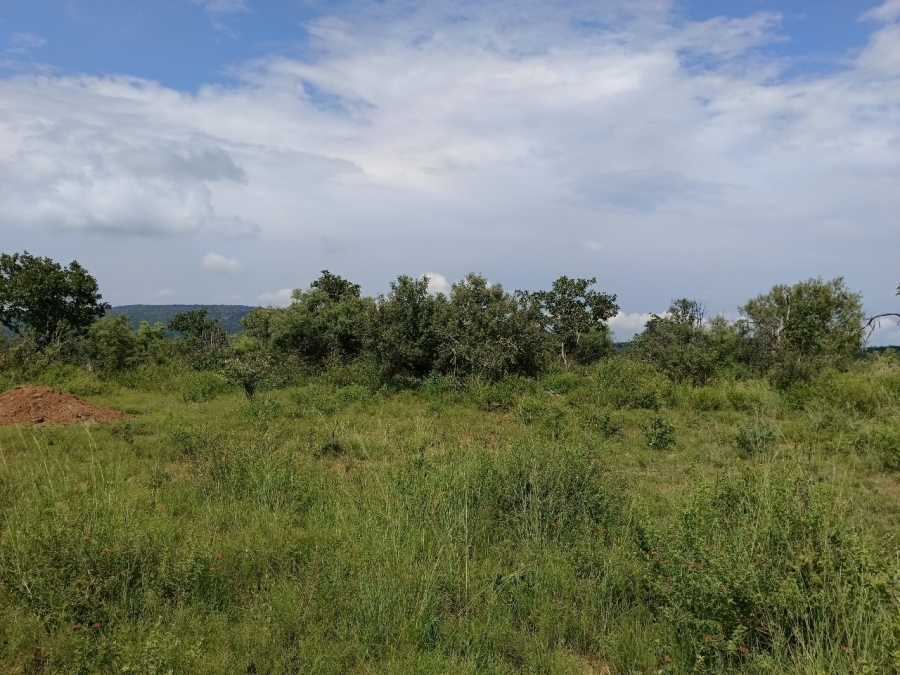 0 Bedroom Property for Sale in Bela Bela Limpopo