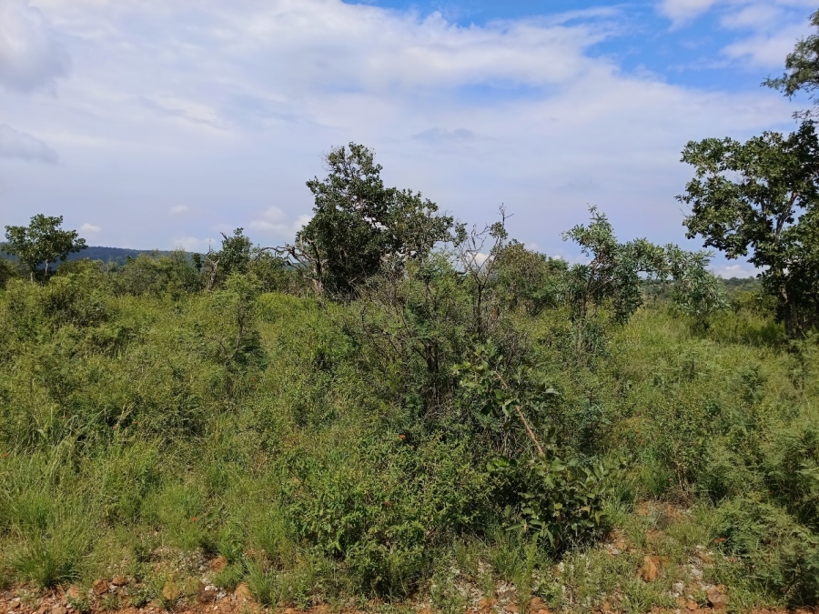 0 Bedroom Property for Sale in Bela Bela Limpopo