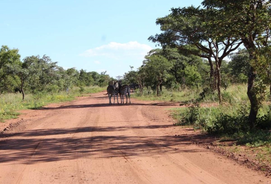 0 Bedroom Property for Sale in Bela Bela Limpopo