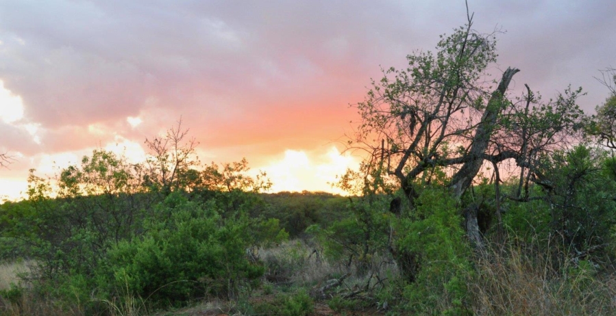 0 Bedroom Property for Sale in Bela Bela Limpopo