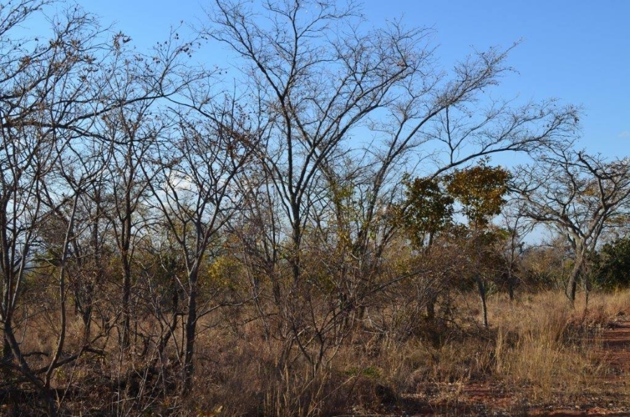 0 Bedroom Property for Sale in Bela Bela Limpopo