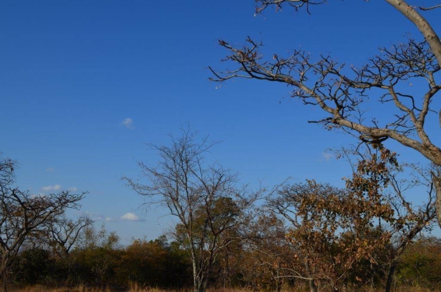 0 Bedroom Property for Sale in Bela Bela Limpopo