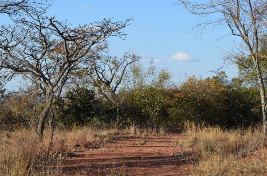 0 Bedroom Property for Sale in Bela Bela Limpopo