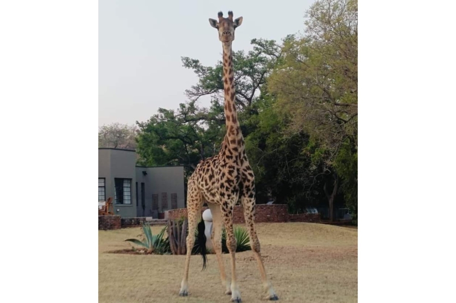 8 Bedroom Property for Sale in Intaba Indle Wilderness Estate Limpopo
