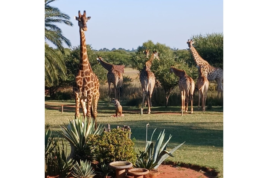 8 Bedroom Property for Sale in Intaba Indle Wilderness Estate Limpopo