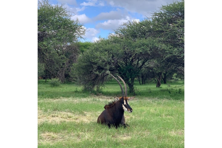 8 Bedroom Property for Sale in Intaba Indle Wilderness Estate Limpopo