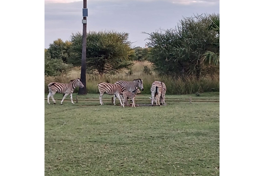 8 Bedroom Property for Sale in Intaba Indle Wilderness Estate Limpopo